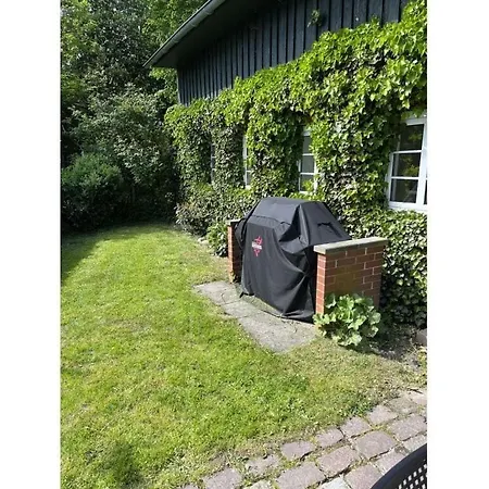 Gutmussen 2 A